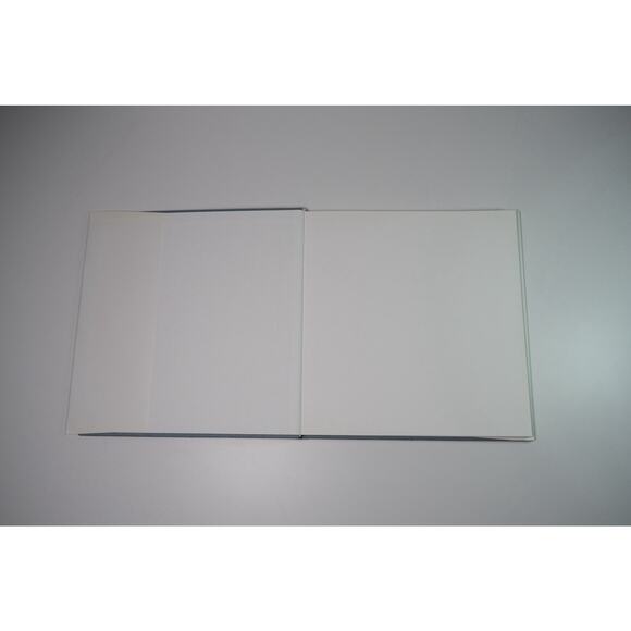 Alec Soth, Dog Days Bogota Hardcover Book RARE Minnesota Photographer - Picture 10 of 15